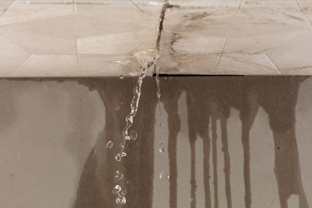 Professional Burst Pipe Cleanup technician working in Fort Collins, CO